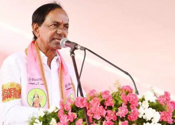 kcr insults govt employees